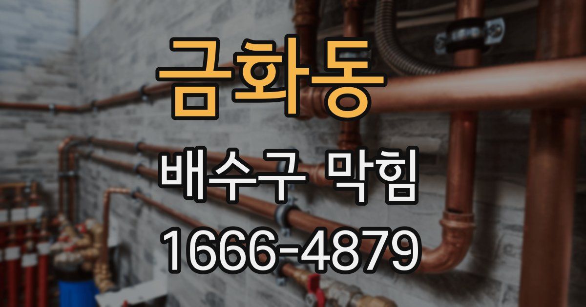 금화동 배수구 막힘