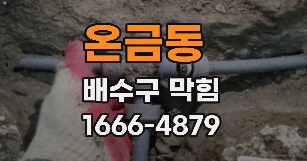 온금동 배수구 막힘