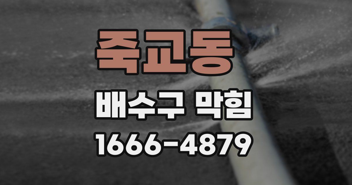 죽교동 배수구 막힘