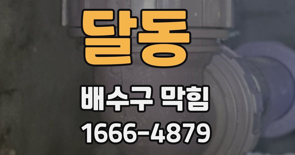 달동 배수구 막힘