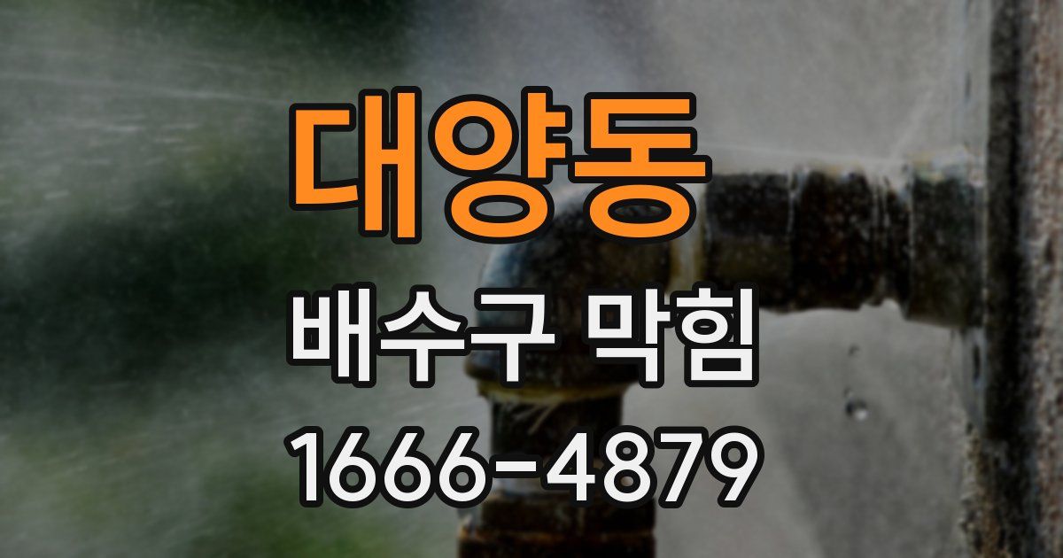 대양동 배수구 막힘