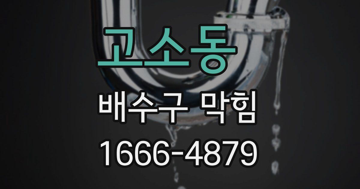 고소동 배수구 막힘
