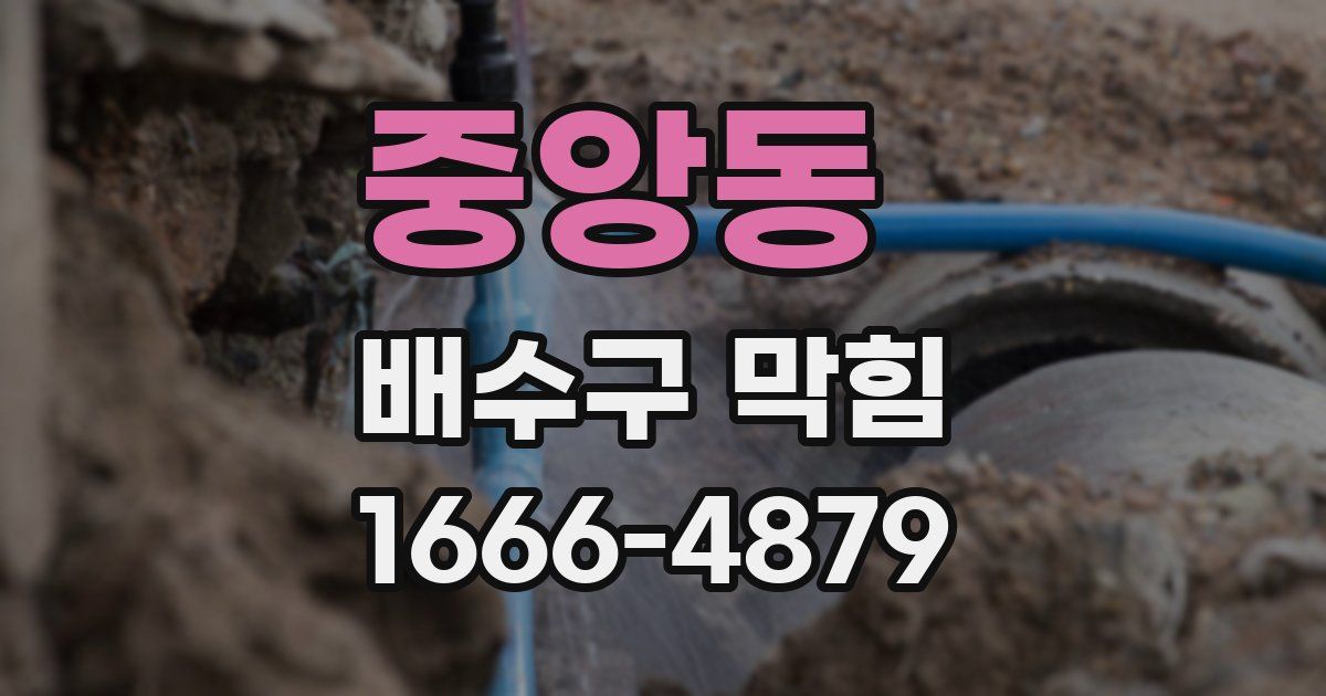 중앙동 배수구 막힘