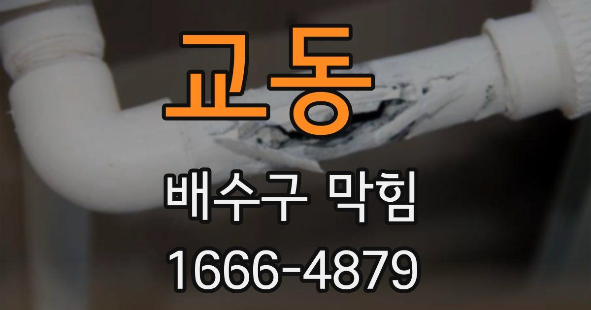 교동 배수구 막힘
