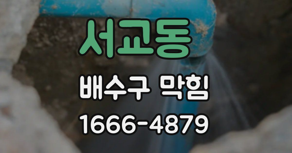 서교동 배수구 막힘