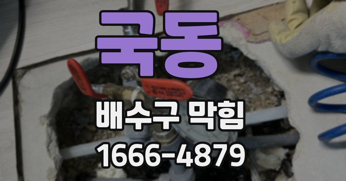 국동 배수구 막힘