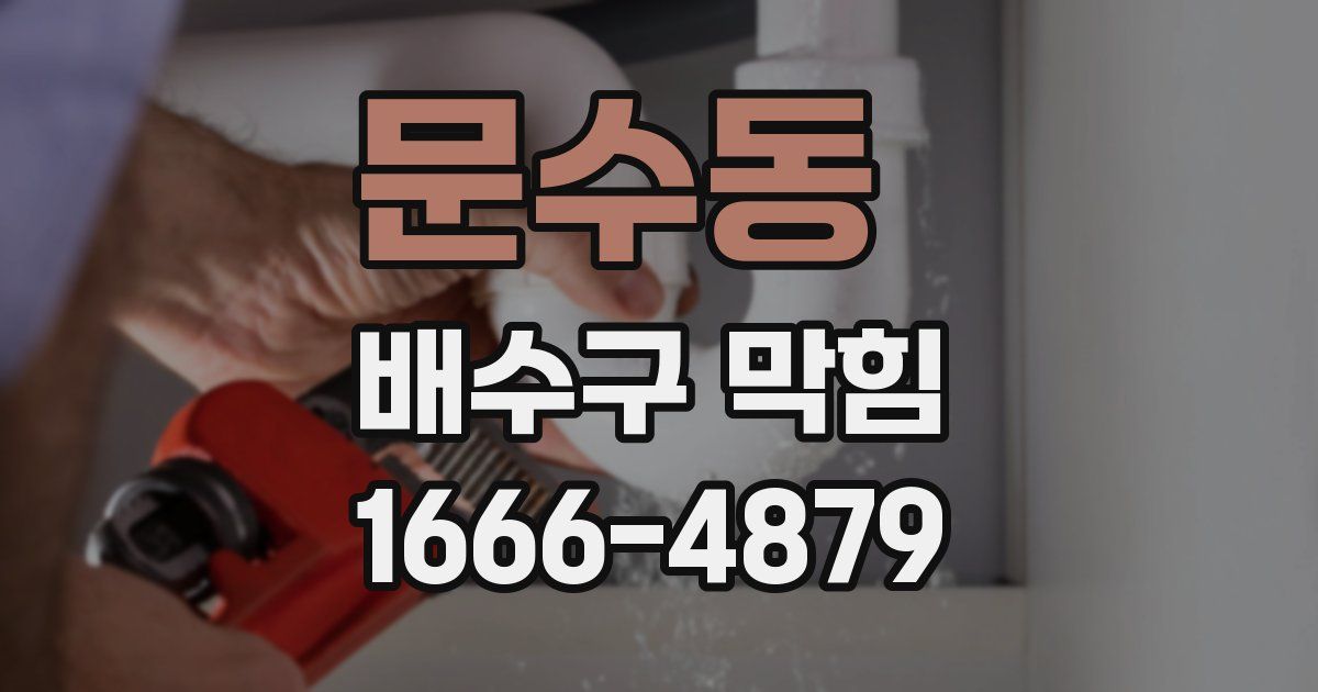 문수동 배수구 막힘