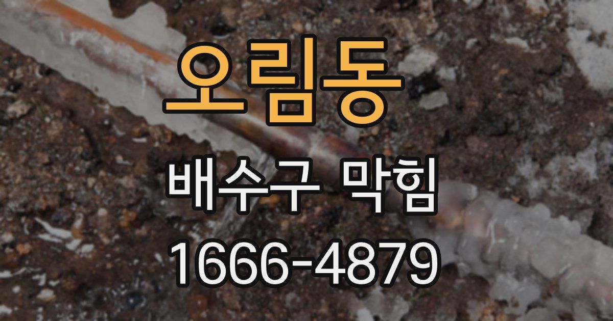 오림동 배수구 막힘