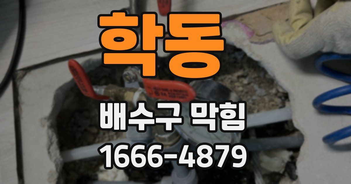 학동 배수구 막힘