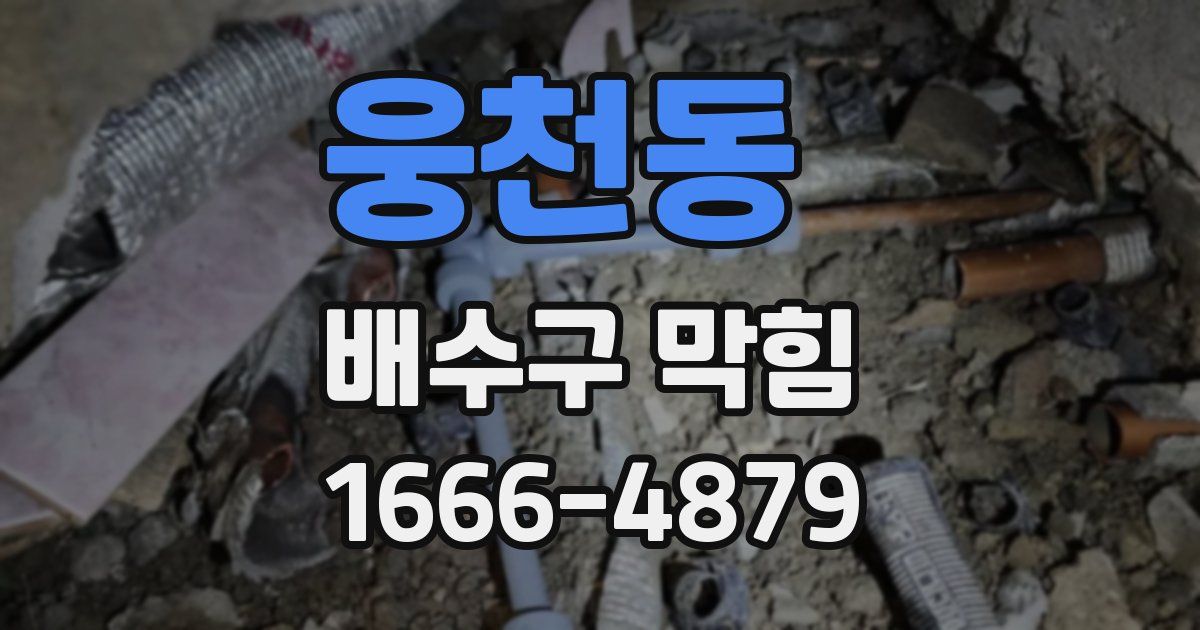 웅천동 배수구 막힘