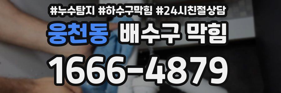 웅천동 배수구 막힘