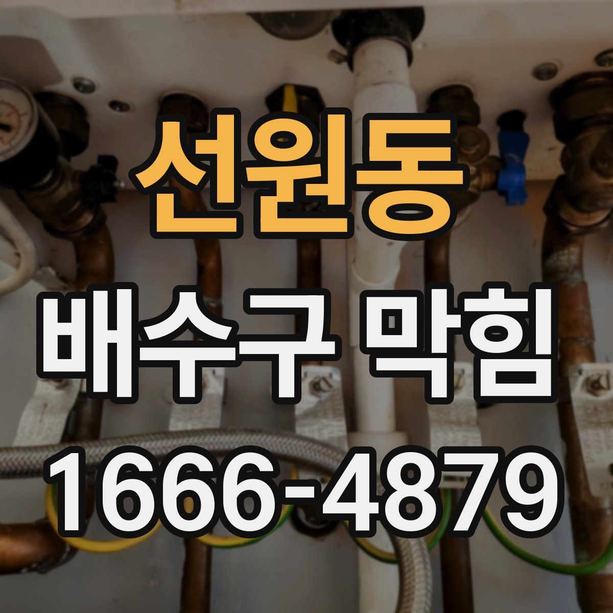 선원동 배수구 막힘