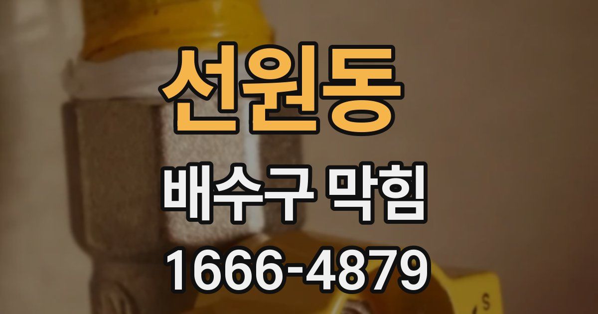 선원동 배수구 막힘