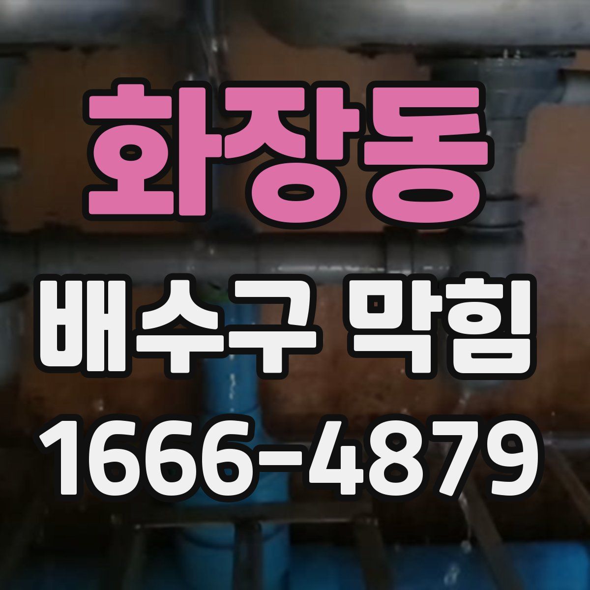 화장동 배수구 막힘