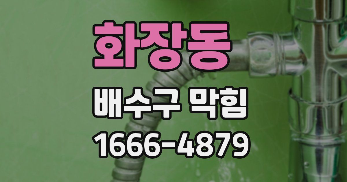화장동 배수구 막힘