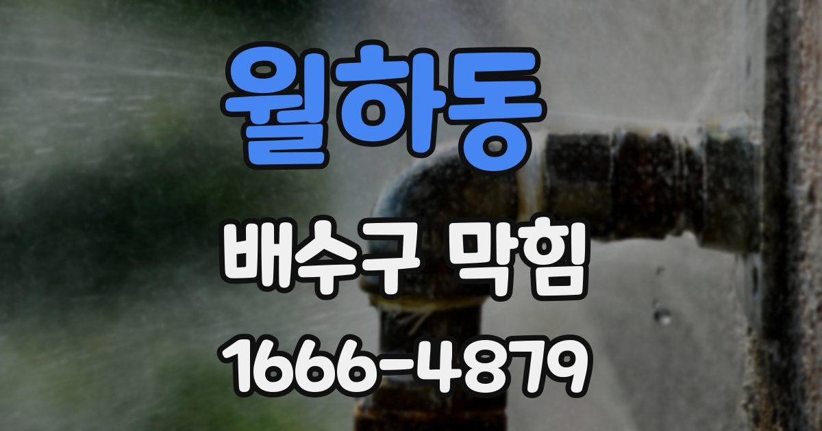 월하동 배수구 막힘