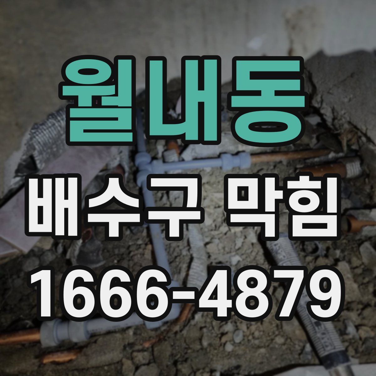월내동 배수구 막힘