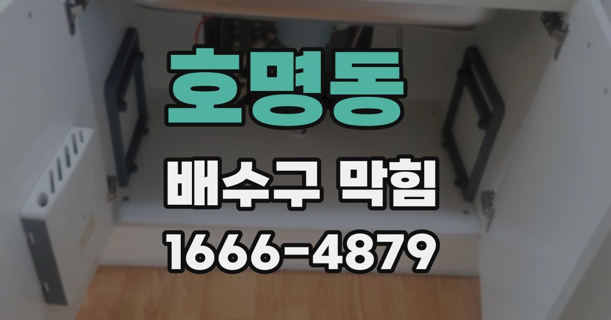 호명동 배수구 막힘