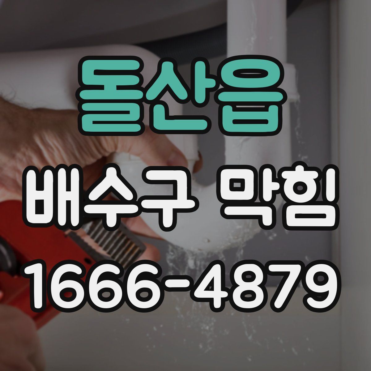 돌산읍 배수구 막힘