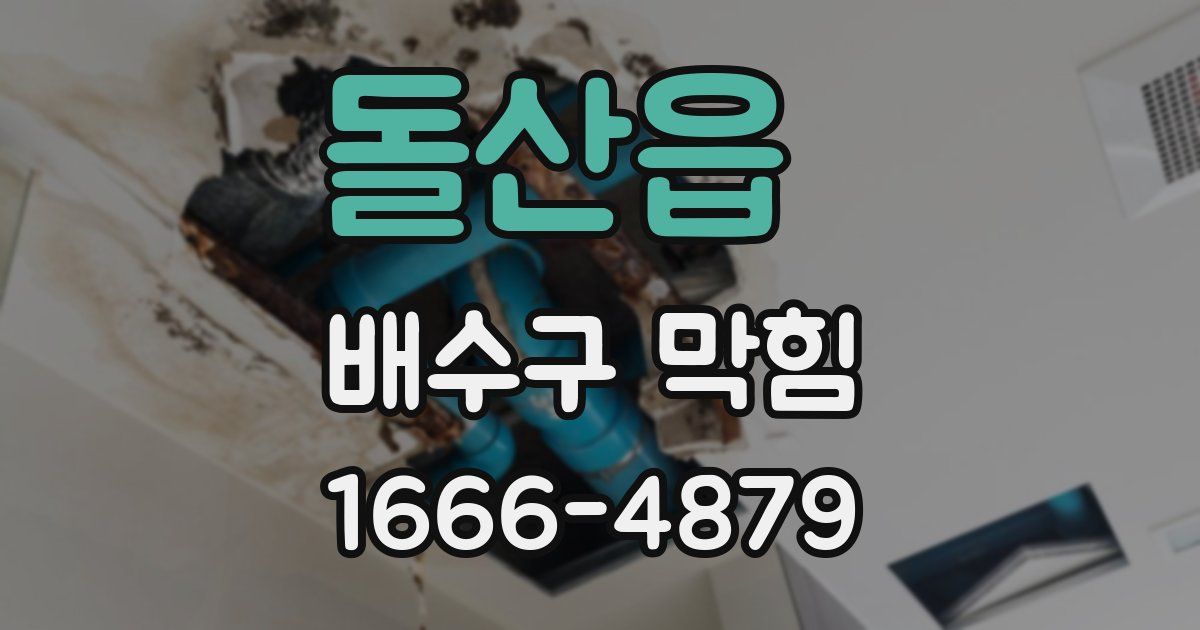 돌산읍 배수구 막힘