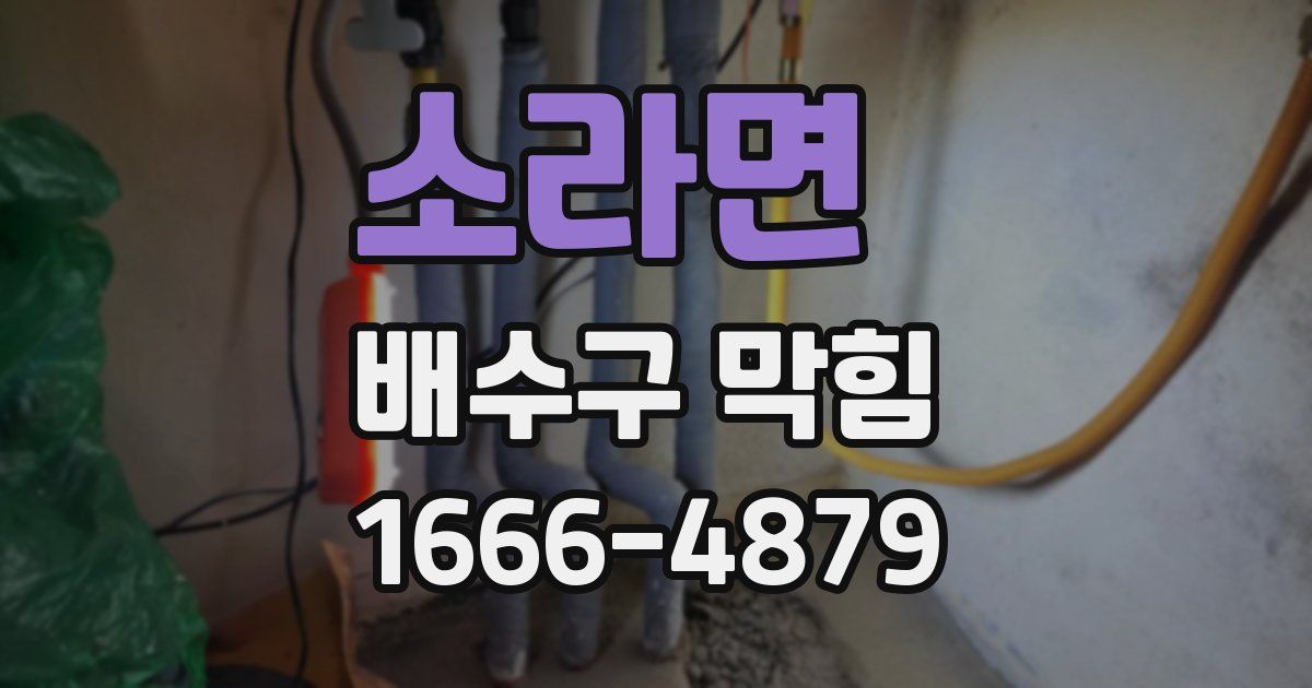 소라면 배수구 막힘