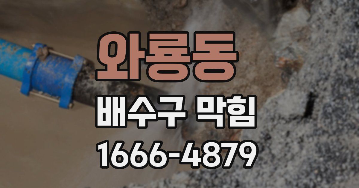 와룡동 배수구 막힘