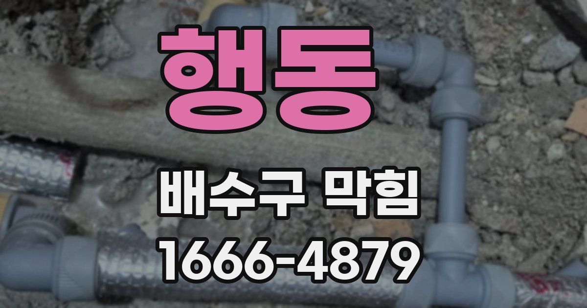 행동 배수구 막힘