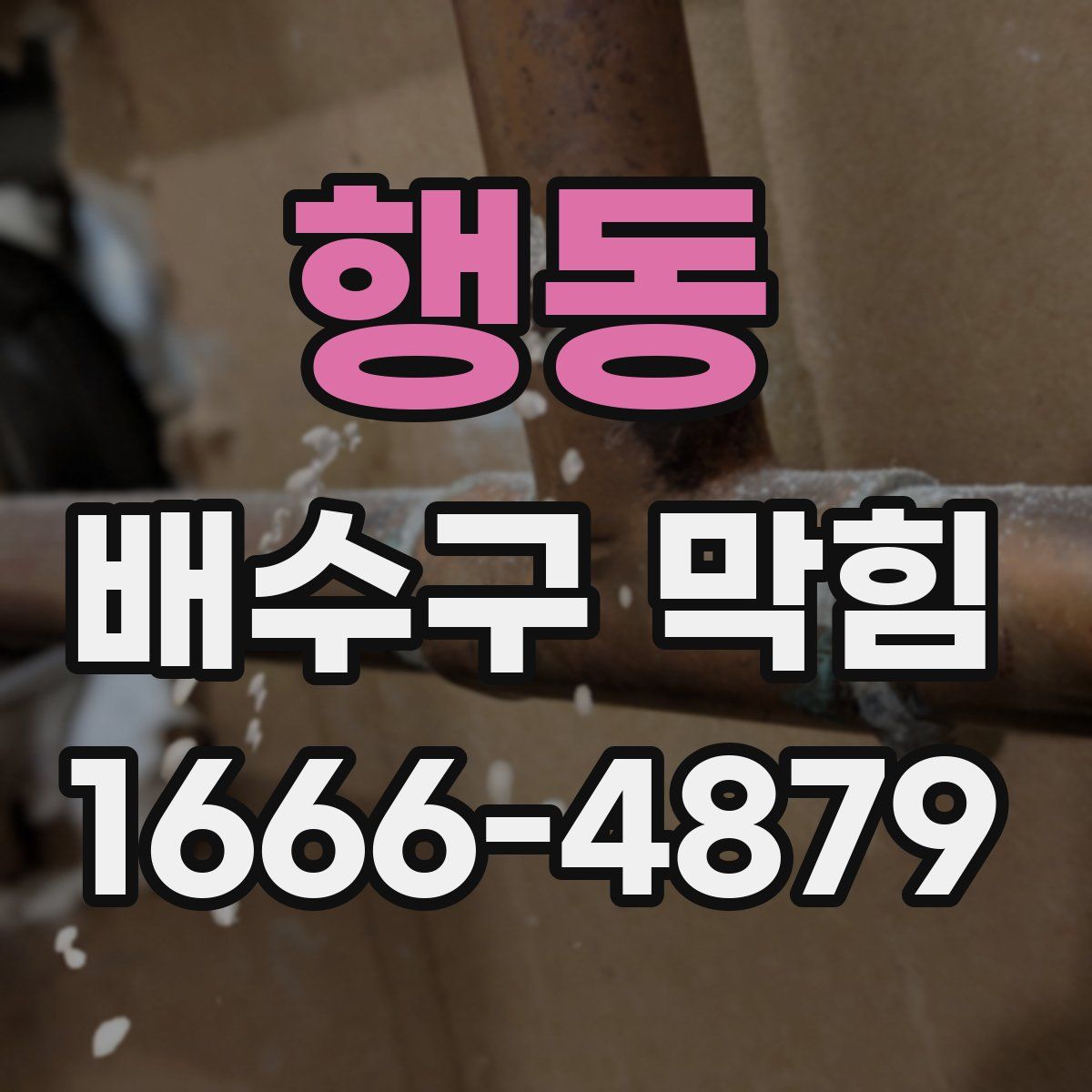 행동 배수구 막힘