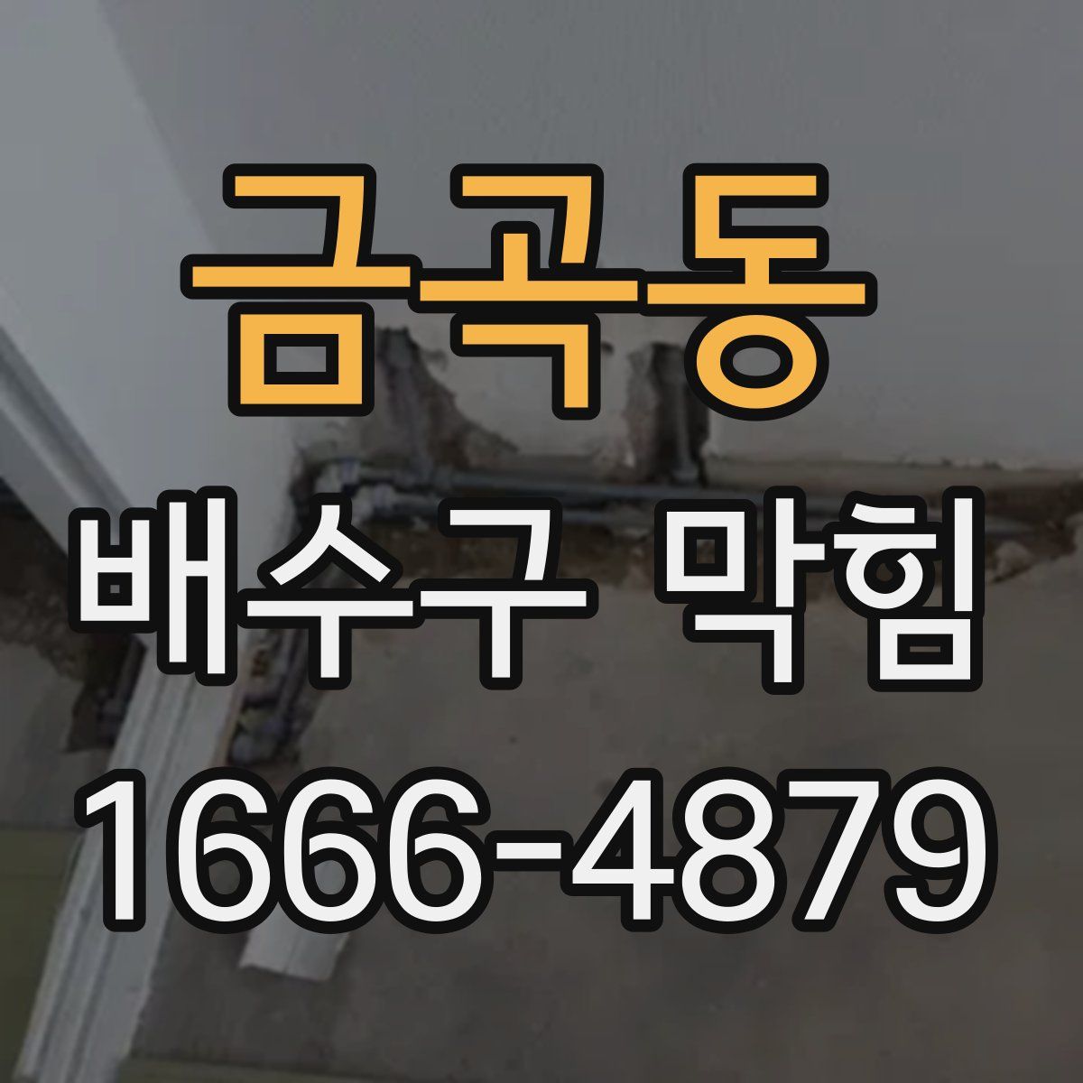 금곡동 배수구 막힘