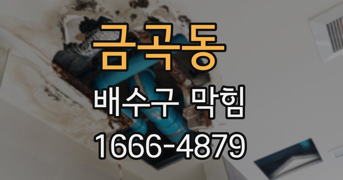 금곡동 배수구 막힘