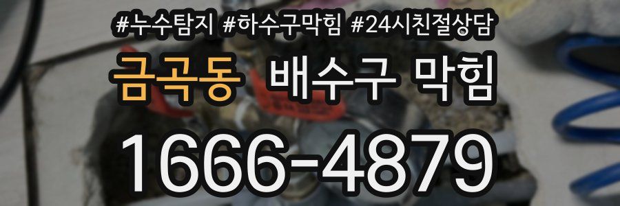금곡동 배수구 막힘