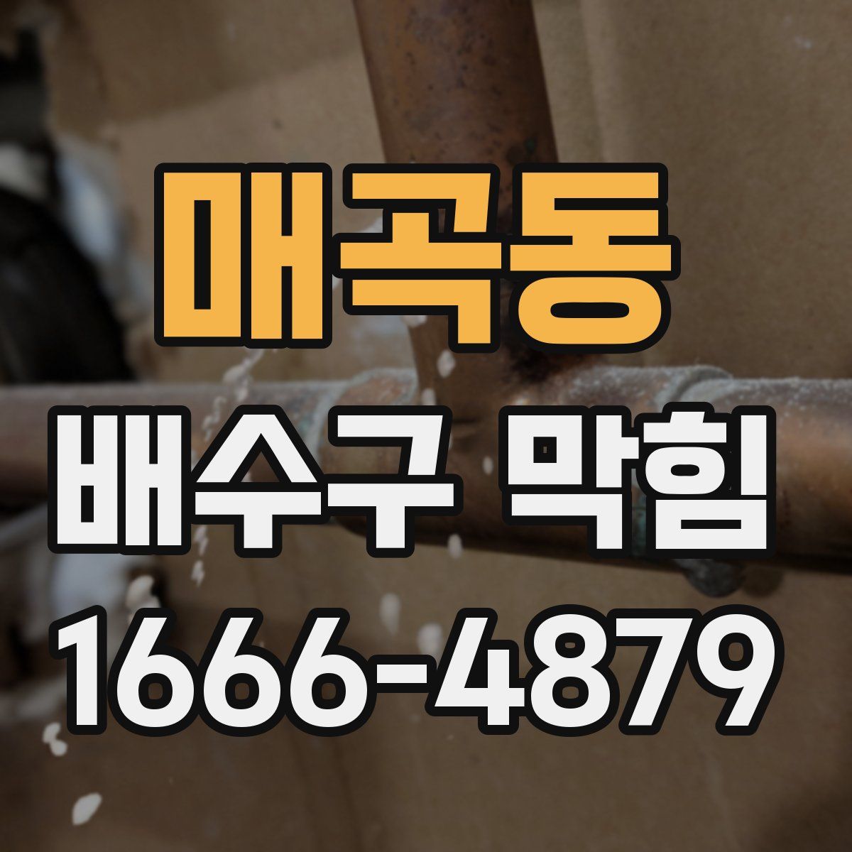 매곡동 배수구 막힘