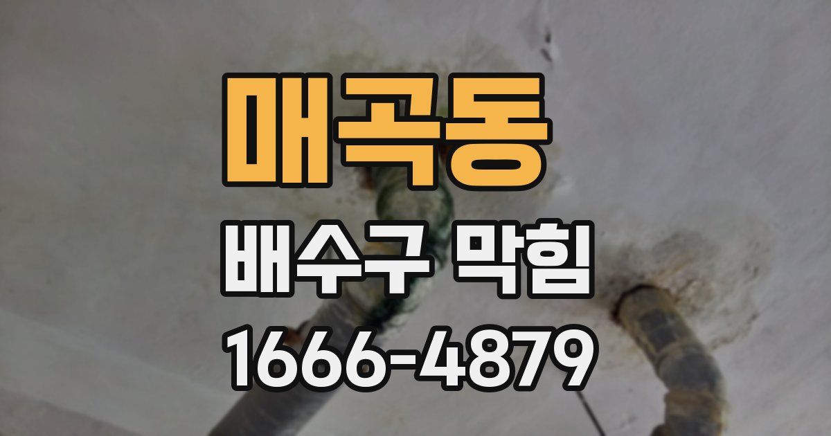 매곡동 배수구 막힘