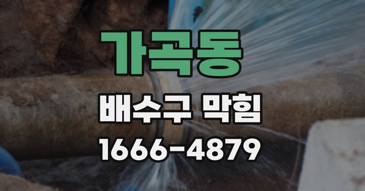 가곡동 배수구 막힘