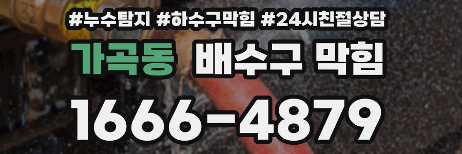 가곡동 배수구 막힘
