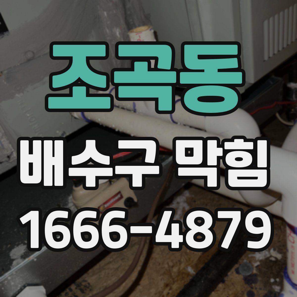 조곡동 배수구 막힘