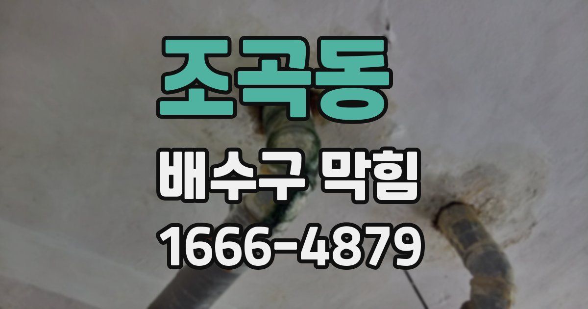 조곡동 배수구 막힘