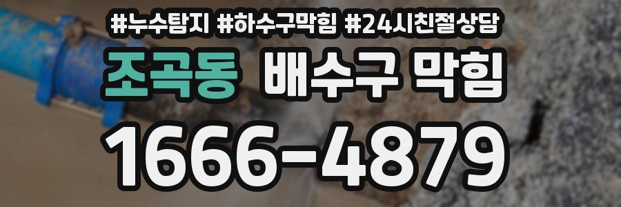 조곡동 배수구 막힘