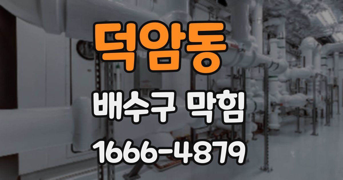 덕암동 배수구 막힘