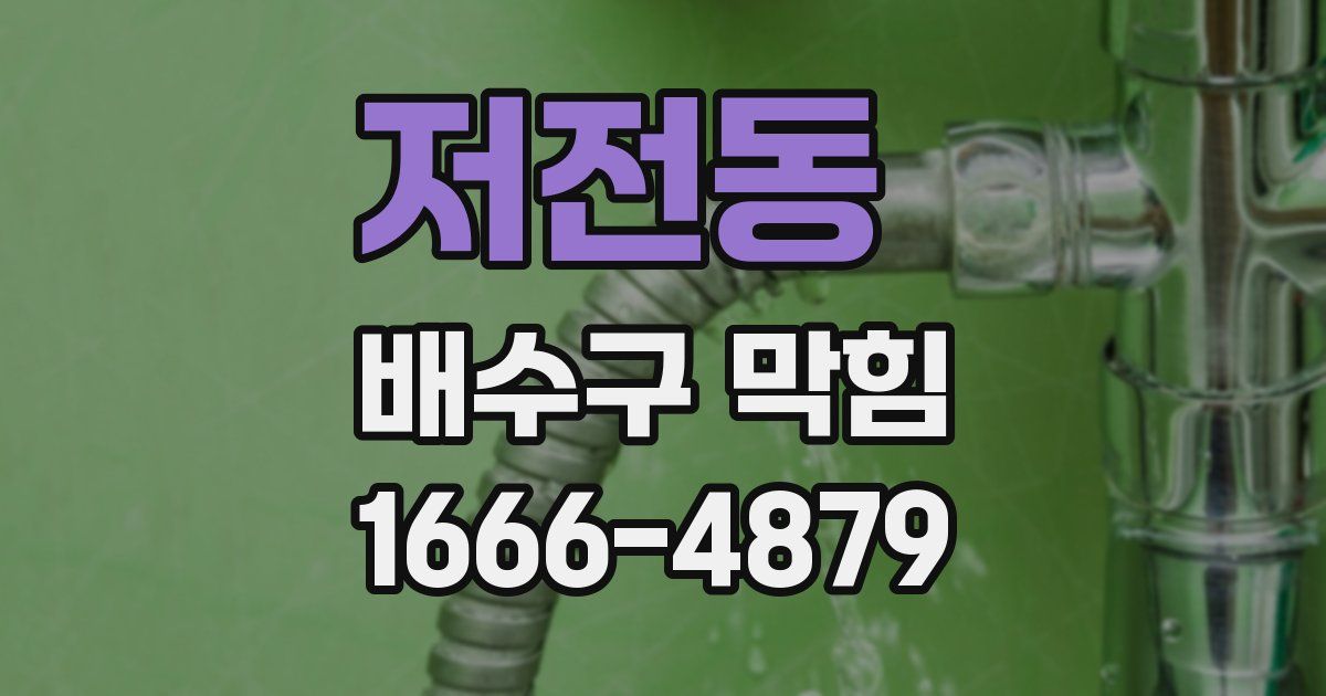 저전동 배수구 막힘