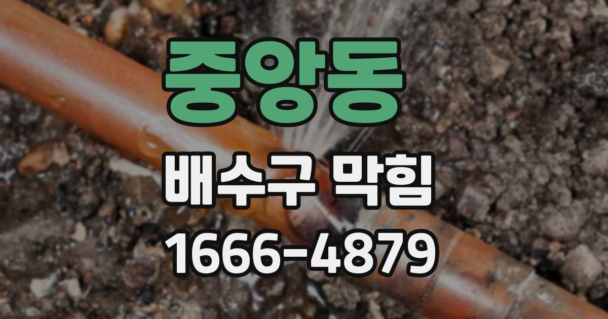 중앙동 배수구 막힘