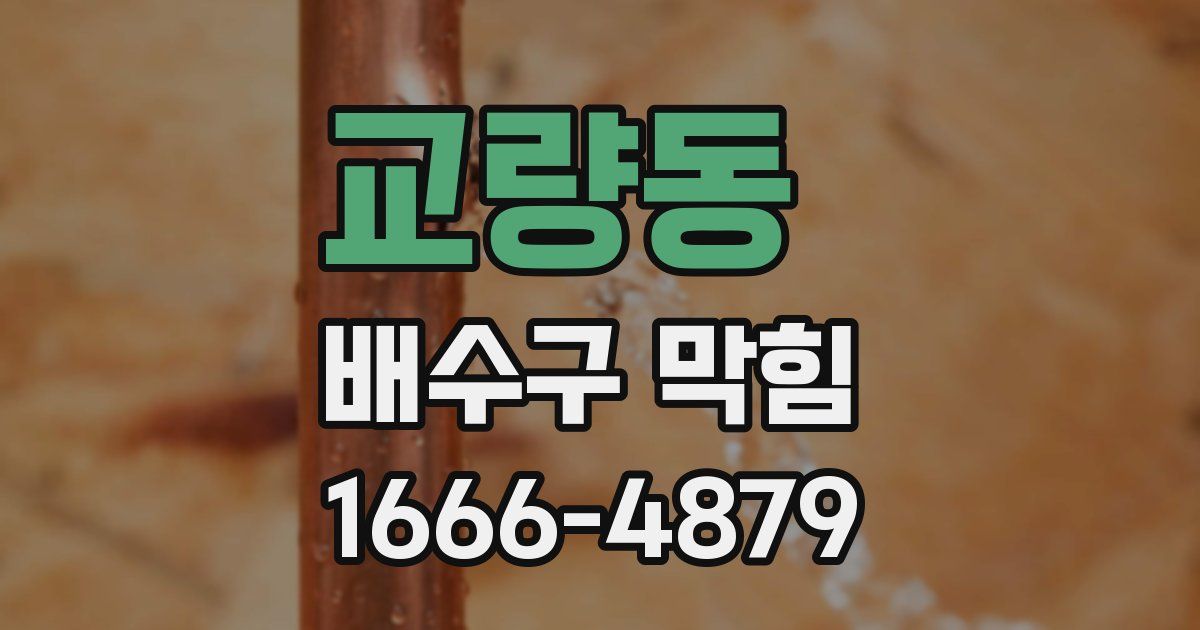 교량동 배수구 막힘