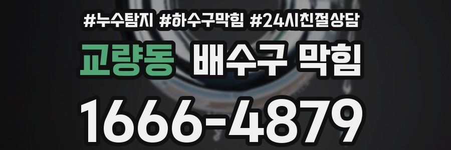 교량동 배수구 막힘