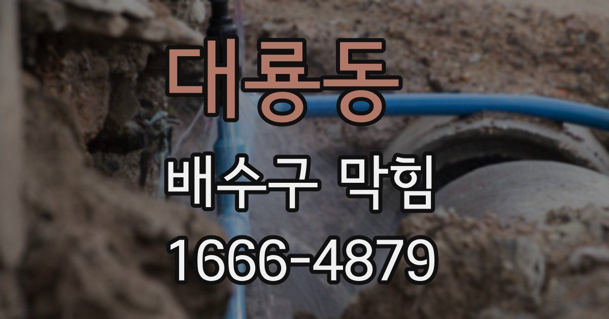 대룡동 배수구 막힘