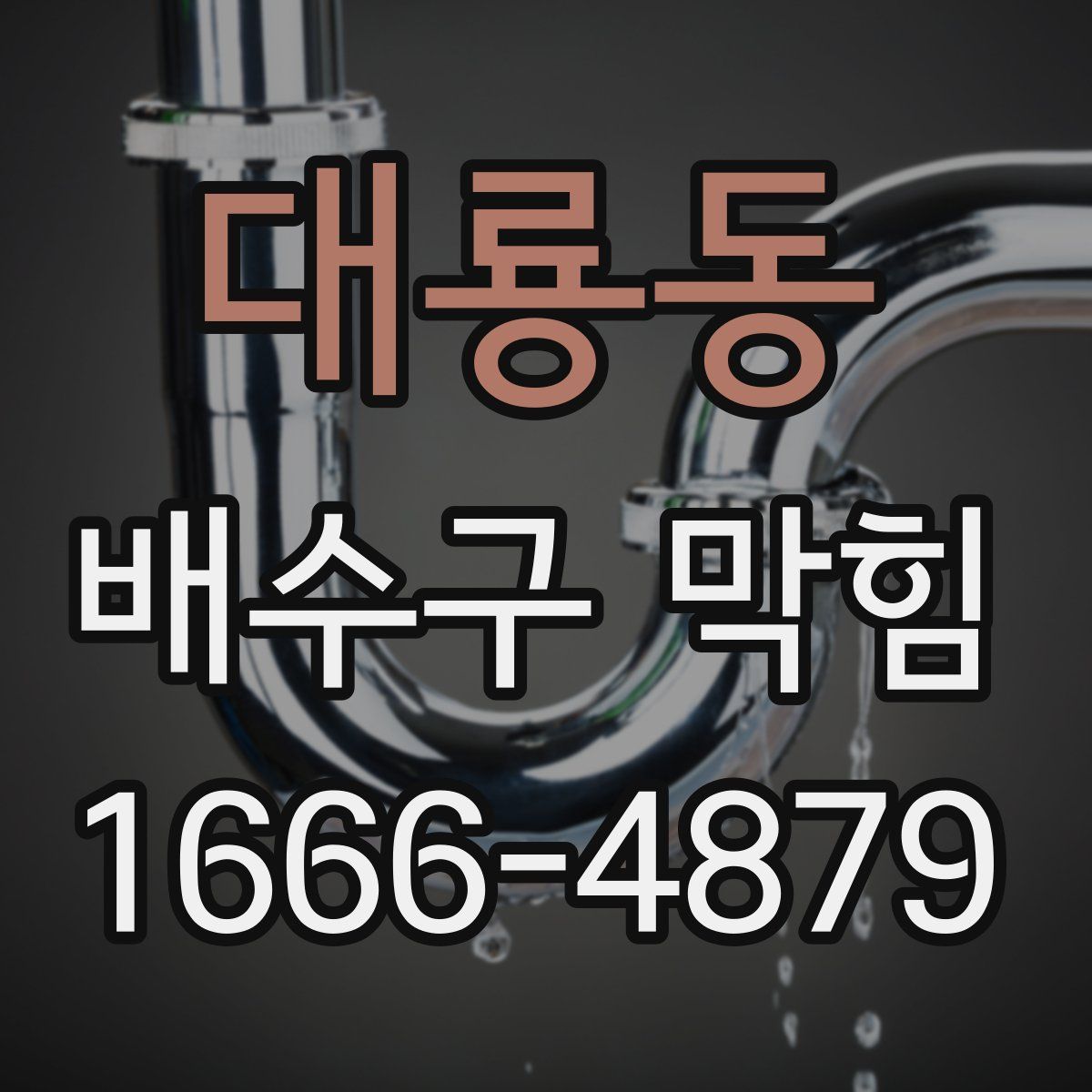 대룡동 배수구 막힘