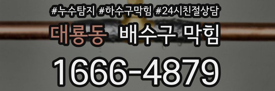 대룡동 배수구 막힘