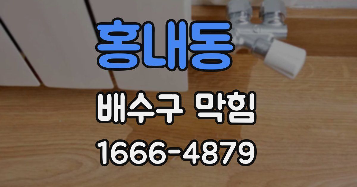 홍내동 배수구 막힘
