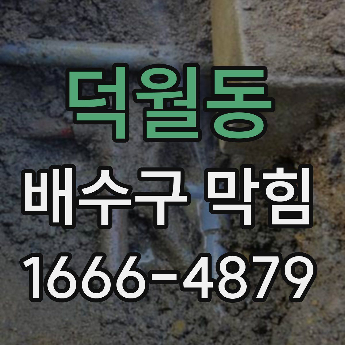 덕월동 배수구 막힘