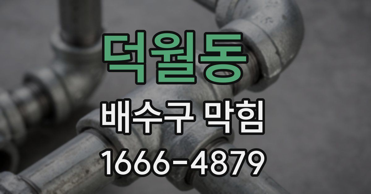 덕월동 배수구 막힘