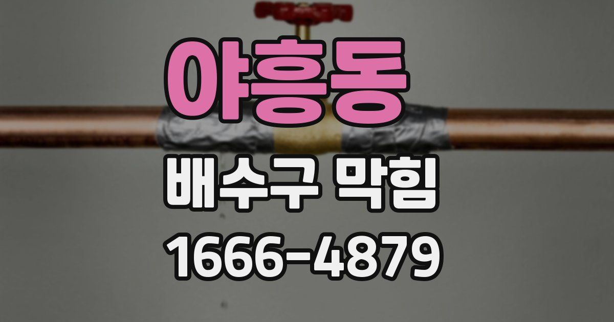 야흥동 배수구 막힘